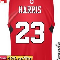 Little Harris Photo 4