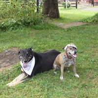 Clyde Bennett Photo 24