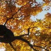 Connie Morrill Photo 5