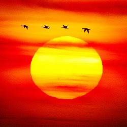 Jason Paris Photo 29