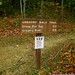 Gregory Parsons Photo 11