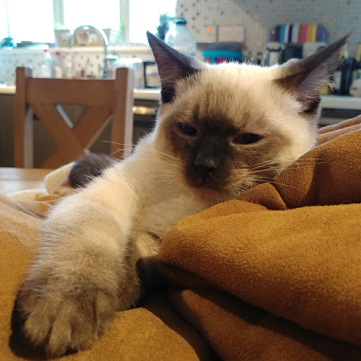 Daniel Gilmartin Photo 14