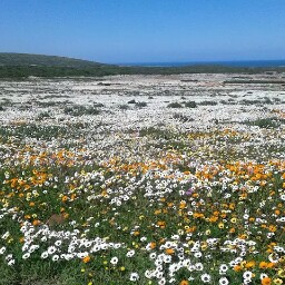 Amanda Barker Photo 41