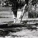 Louis Rubino Photo 20