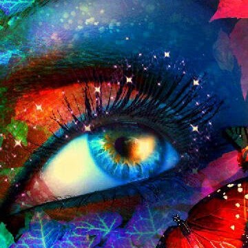 Debra Potts Photo 24