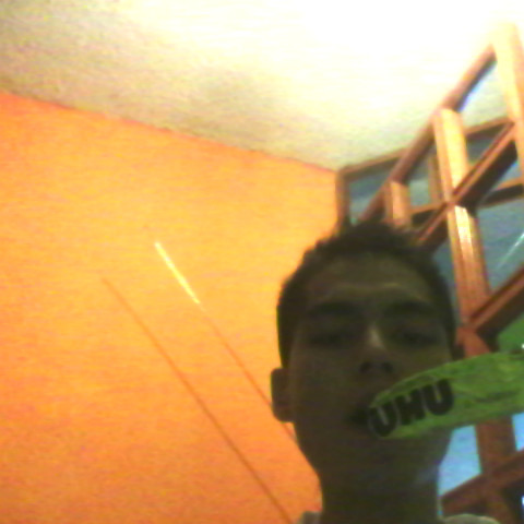 Gerson Guzman Photo 5