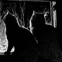 Kathryn Fortin Photo 4