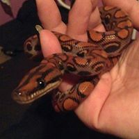 Jennie Marquardt Photo 12