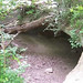 Sue Parsons Photo 33