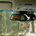 Susan Ackerman Photo 21