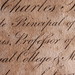 Charles Alt Photo 14