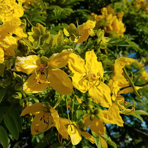 Chris Rogers Photo 33 Chris Rogers Photo 33