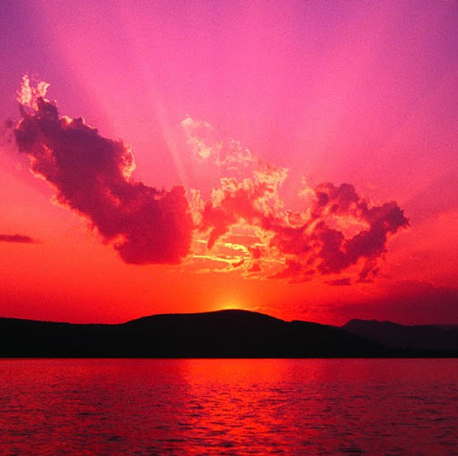 Shawn Langston Photo 5