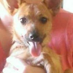 Barbara Wells Photo 14