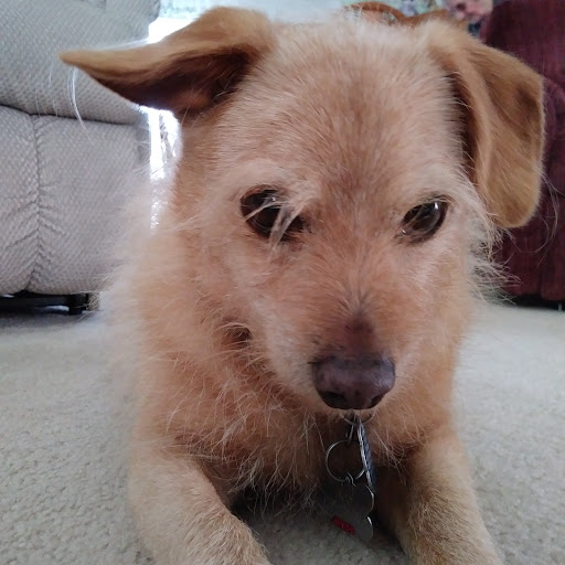 Kristina Bermudez Photo 2