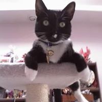 Robin Kraatz Photo 2