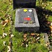 Carl Schaefer Photo 10