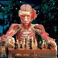 Ernest Gardner Photo 35