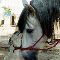 Donna Fitzpatrick Photo 32 Donna Fitzpatrick Photo 32