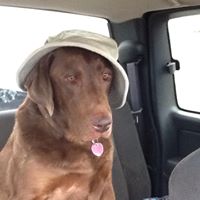 Debbie Hogan Photo 34