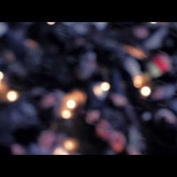 Michael Wexler Photo 10