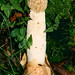 Jan Wald Photo 6
