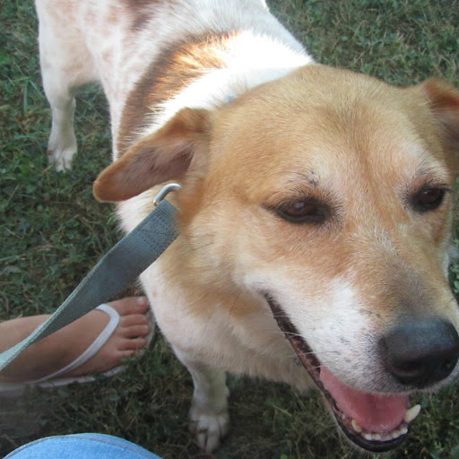 Kim Howe Photo 11 Kim Howe Photo 11