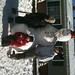 Scott Byrd Photo 11
