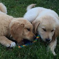 Laurie Leach Photo 23