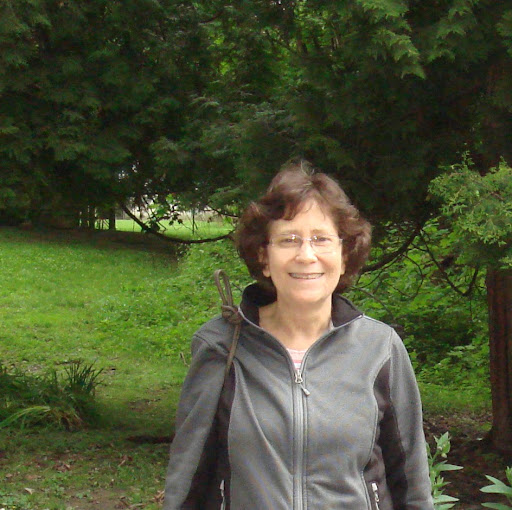 Susan Bernstein Photo 4
