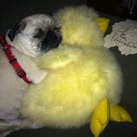 Lisa Simpkins Photo 33