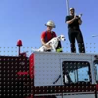 Christopher Mohr Photo 27 Christopher Mohr Photo 27