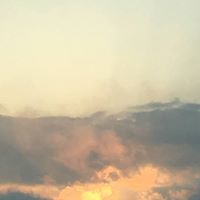 Fredrick Thompson Photo 14