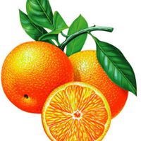 Lin Chen Photo 40 Lin Chen Photo 40