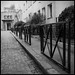 Steven Iles Photo 11
