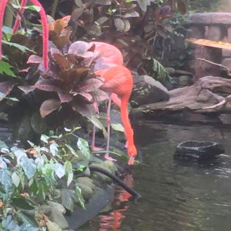 Rebecca Barnard Photo 7