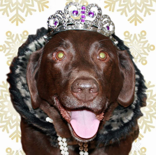 Susan Schaefer Photo 43