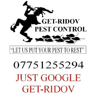 Richard Warren Photo 19 Richard Warren Photo 19