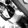 Stephanie Loftis Photo 4