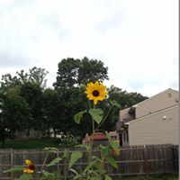 Vito Ferrara Photo 15