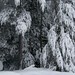 Christopher Winters Photo 26