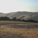 Wanda Sides Photo 9