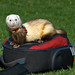 Fanny Sharp Photo 6