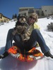 Cynthia Nelson Photo 13