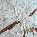 Christine Spines Photo 6