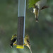 Dan Finch Photo 9