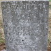 Elizabeth Hardin Photo 39