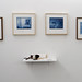 Anna Kauffman Photo 19
