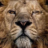 Jeff Henson Photo 40