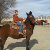 Andrea Gillis Photo 7